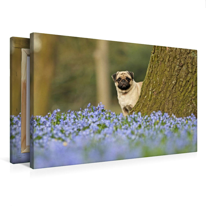 Premium Textil-Leinwand Mops mit Frühlingsblümchen