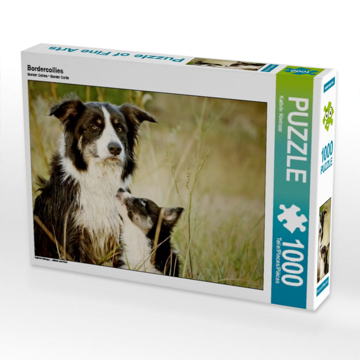 Border collies - Puzzle photo CALVENDO 