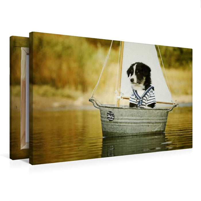 Premium Textil-Leinwand Segelnder Bordercollie