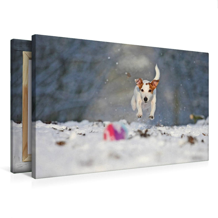 Premium Textil-Leinwand Winterspaß