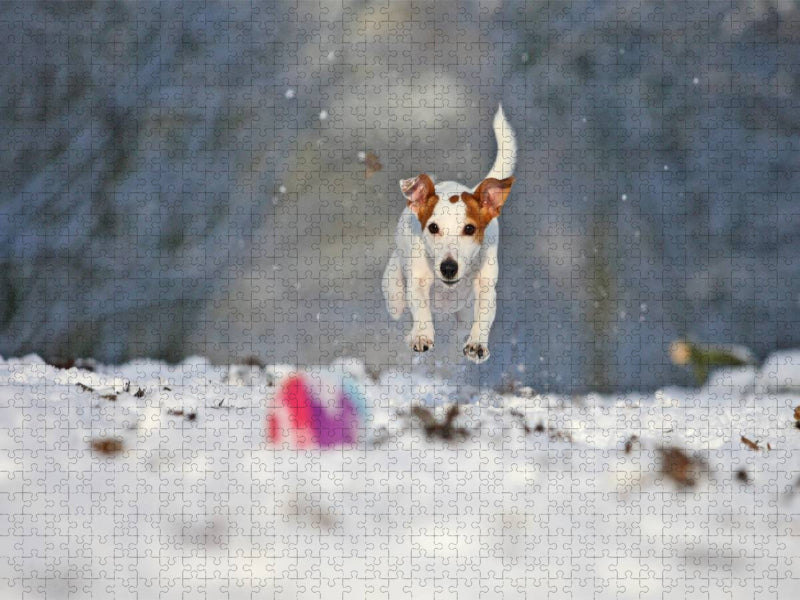 Winterspaß - CALVENDO Foto-Puzzle'