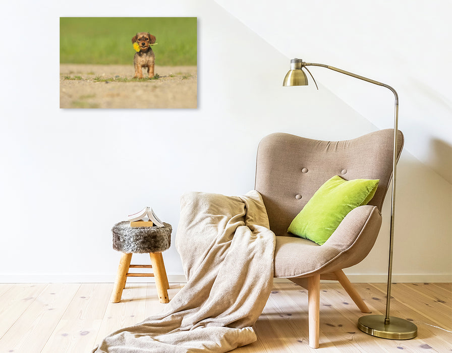 Premium Textil-Leinwand Ein Blümchen für Euch