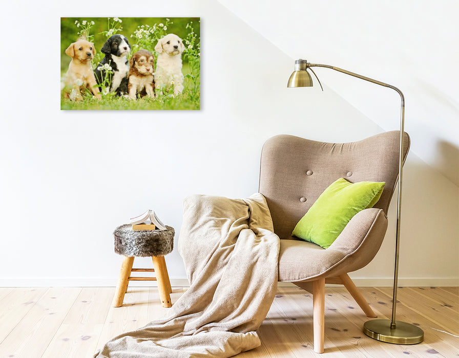 Toile textile premium Toile textile premium 75 cm x 50 cm paysage Chiens colorés 