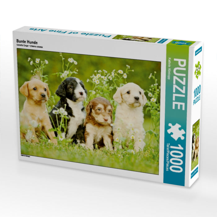 Bunte Hunde 1000 Teile Puzzle quer - CALVENDO Foto-Puzzle'