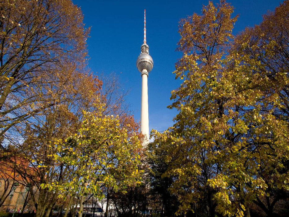 Fernsehturm am Alexanderplatz - CALVENDO Foto-Puzzle'
