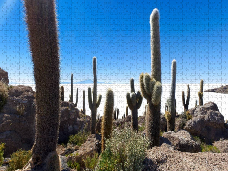 Isla Incahuasi im Salar de Uyuni, 3.653 m ü. N., Bolivien - CALVENDO Foto-Puzzle'