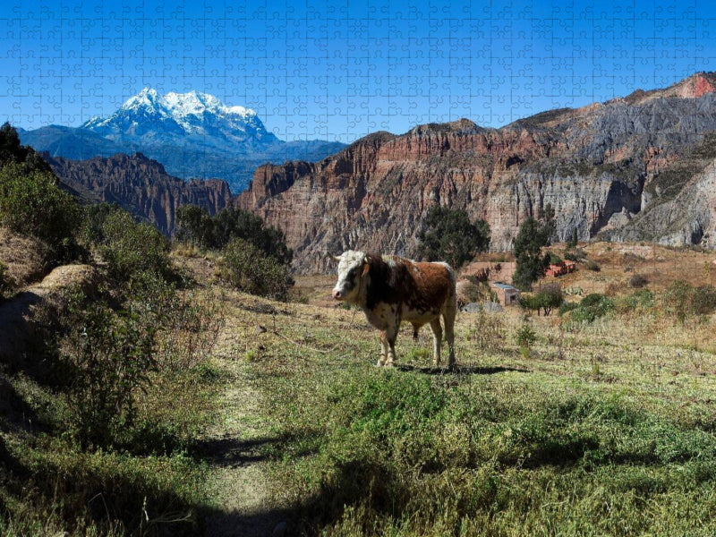 Canyon de Palca, 3.465 m ü. M., Bolivien - CALVENDO Foto-Puzzle'