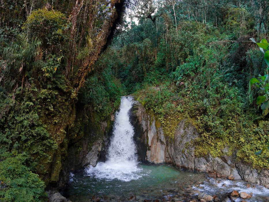 Regenwald bei Aguas Calientes, Peru - CALVENDO Foto-Puzzle'