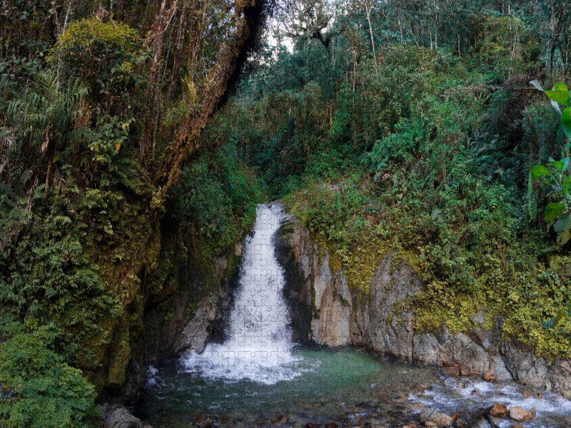 Regenwald bei Aguas Calientes, Peru - CALVENDO Foto-Puzzle'