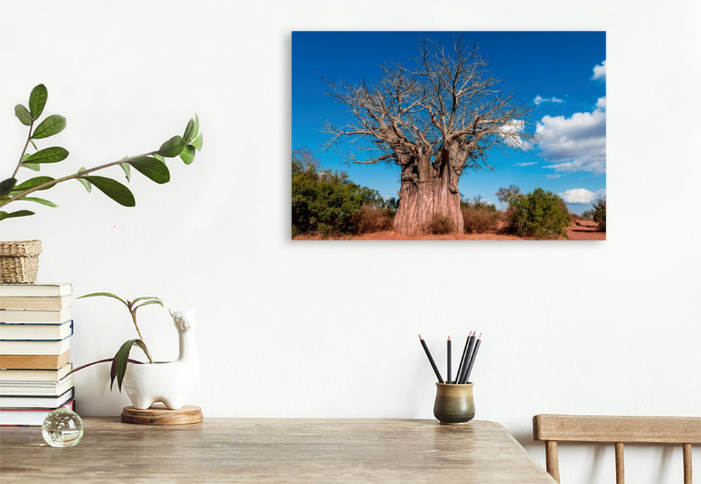 Toile textile haut de gamme Toile textile haut de gamme 120 cm x 80 cm de diamètre Baobab géant, le baobab le plus méridional d'Afrique, Parc national Kruger 