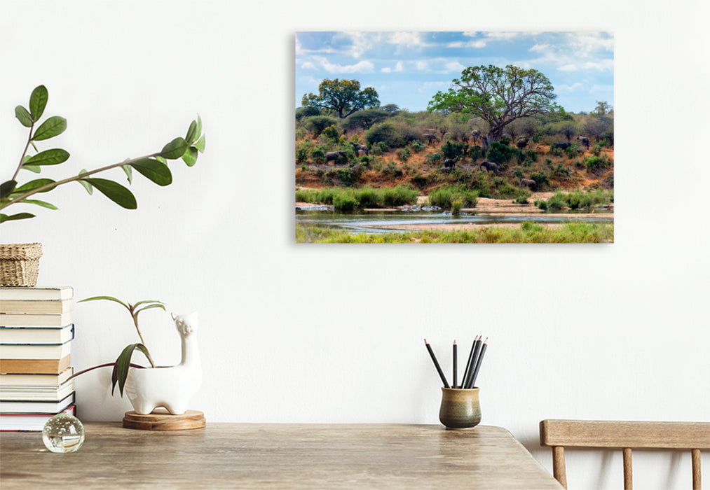 Toile textile haut de gamme Toile textile haut de gamme 120 cm x 80 cm paysage paysage fluvial avec troupeau d'éléphants près de Skukuza, parc national Kruger 