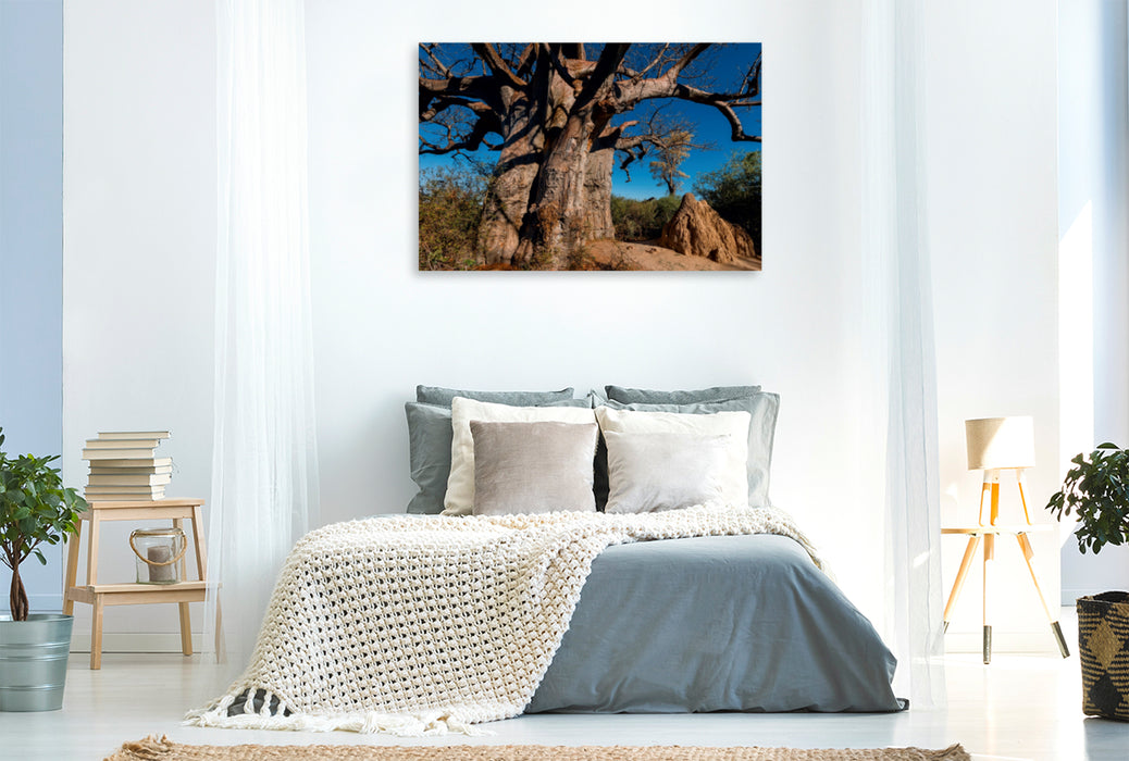 Premium Textil-Leinwand Premium Textil-Leinwand 120 cm x 80 cm quer Riesiger Baobab in den Makgadikgadi Pans