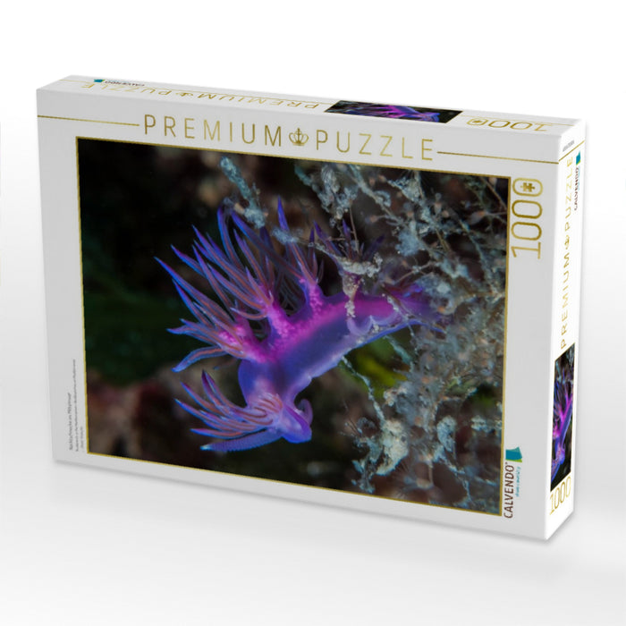 Nacktschnecke im Mittelmeer - CALVENDO Foto-Puzzle'