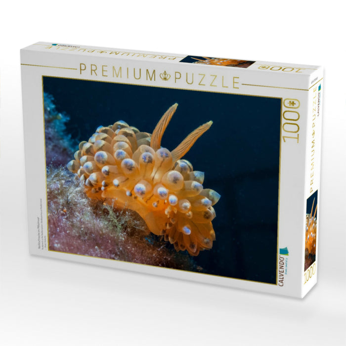 Nacktschnecke im Mittelmeer - CALVENDO Foto-Puzzle'