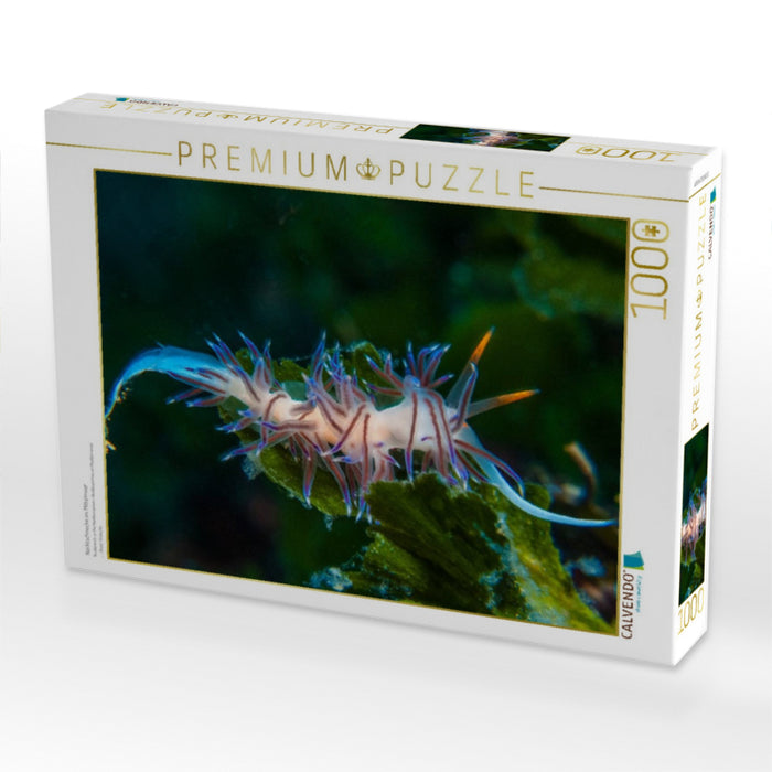 Nacktschnecke im Mittelmeer - CALVENDO Foto-Puzzle'