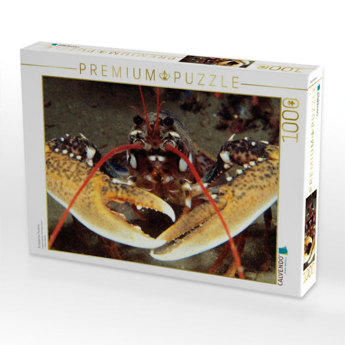 Europäischer Hummer - CALVENDO Foto-Puzzle'