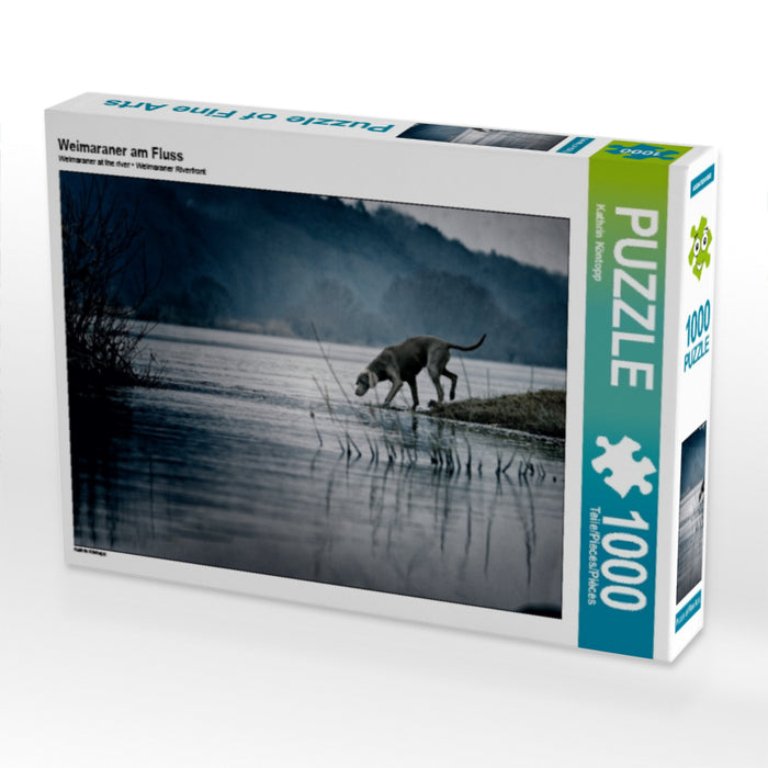 Braque de Weimar sur la rivière - Puzzle photo CALVENDO 