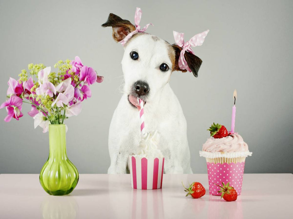 Lotti - CALVENDO Foto-Puzzle'