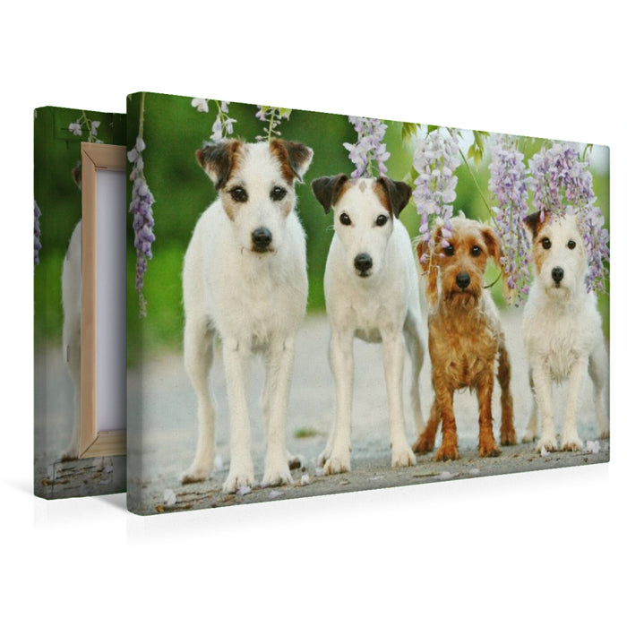 Premium Textil-Leinwand Vier Freunde
