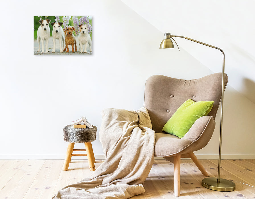 Premium Textil-Leinwand Vier Freunde