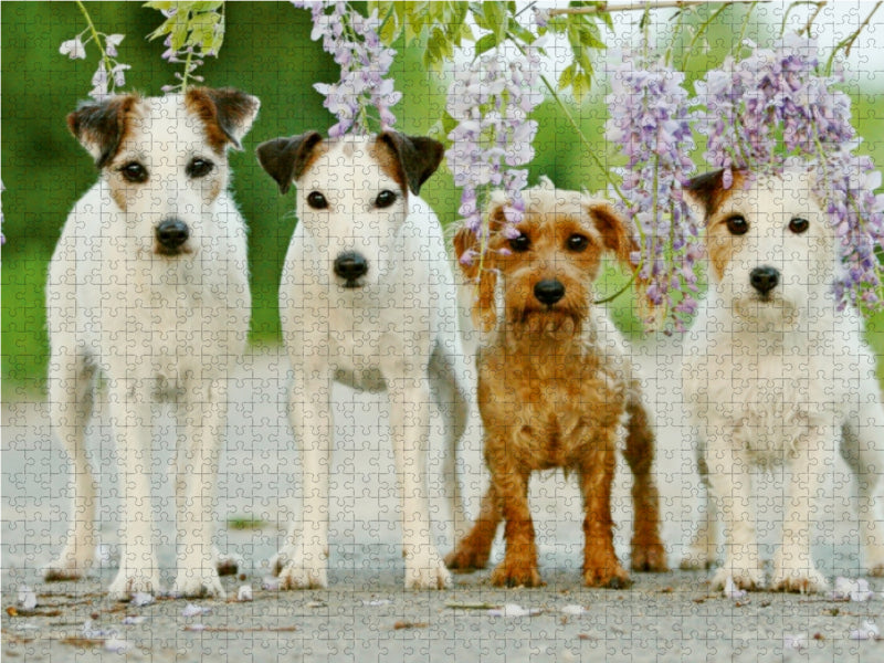 Four friends - CALVENDO photo puzzle 