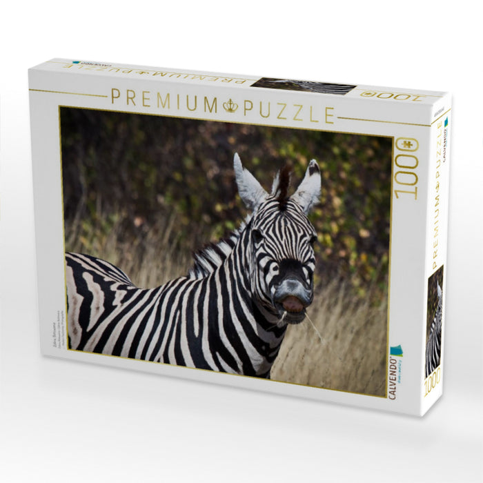 Zebra, Botswana - CALVENDO Foto-Puzzle'