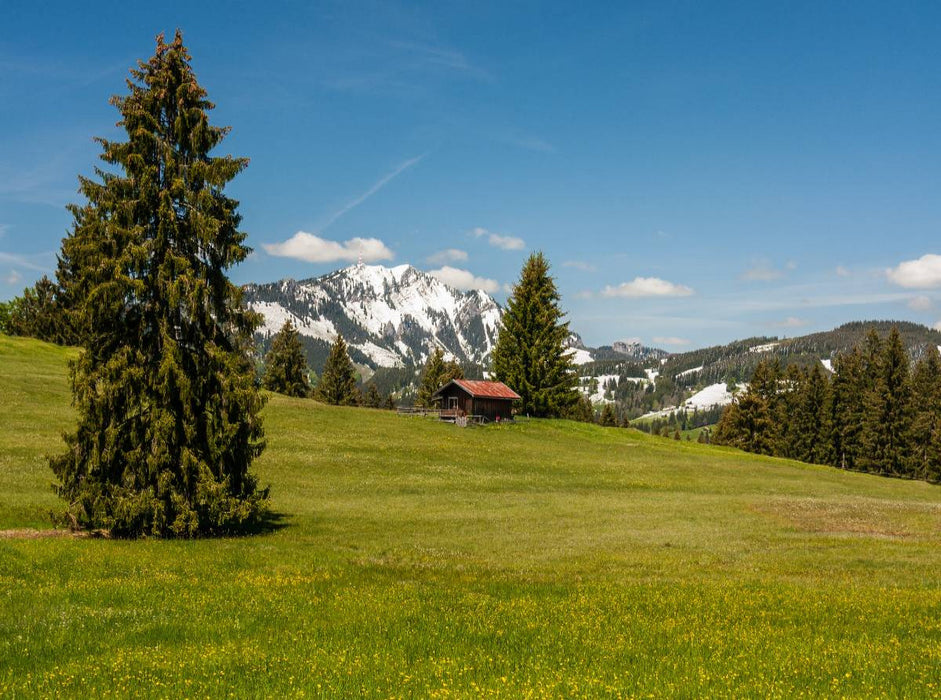 Blick auf den Grünten - CALVENDO Foto-Puzzle'