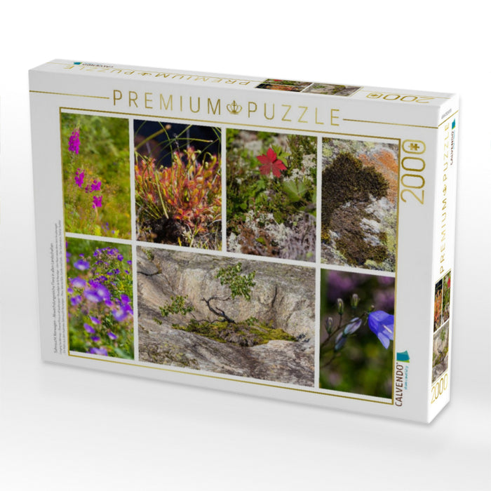 Sehnsucht Norwegen - Abwechslungsreiche Flora in allen Landschaften - CALVENDO Foto-Puzzle'