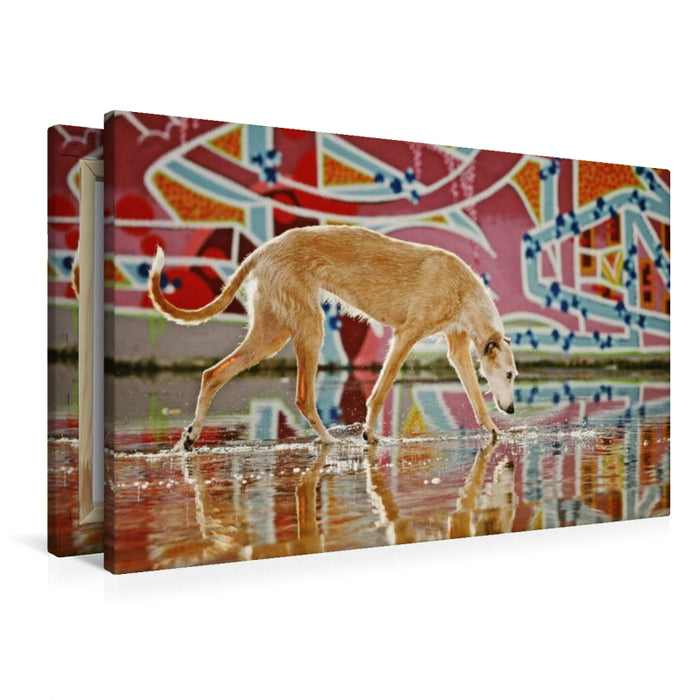 Premium Textil-Leinwand Windhund in Graffiti