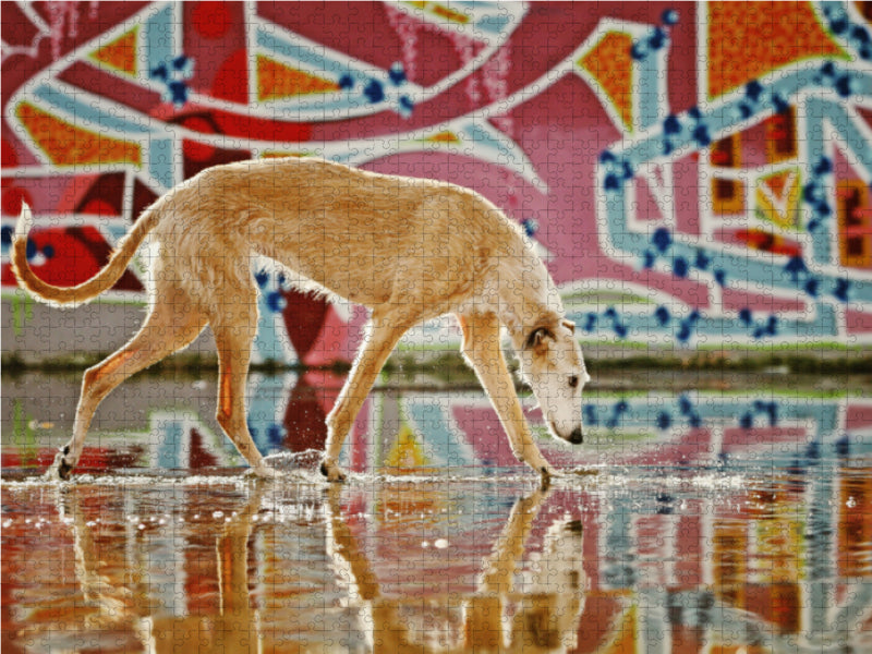 Greyhound in graffiti - CALVENDO photo puzzle 