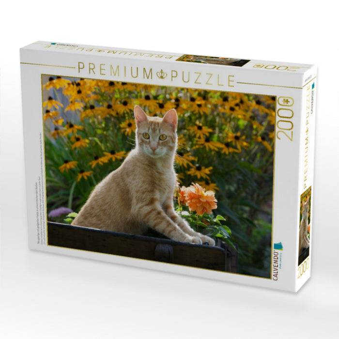 Neugierige rot getigerter Katze in einem blühenden Garten - CALVENDO Foto-Puzzle'