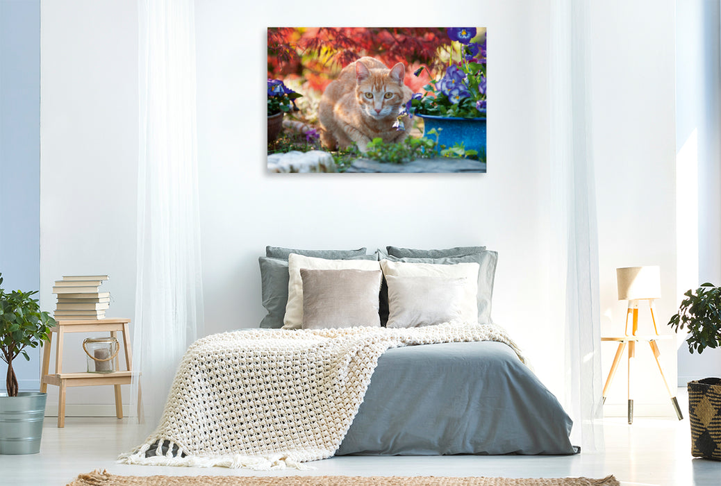 Premium Textil-Leinwand Premium Textil-Leinwand 120 cm x 80 cm quer Rot-getigerte Katze in einer bunten Gartenidylle