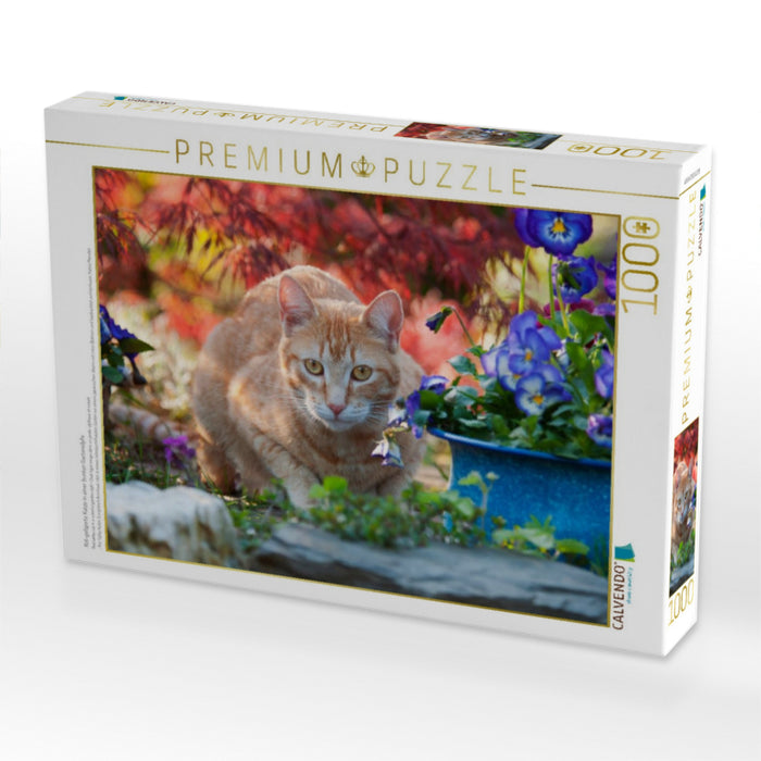 Rot-getigerte Katze in einer bunten Gartenidylle - CALVENDO Foto-Puzzle'