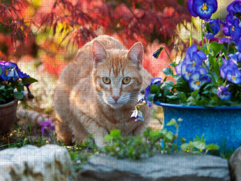 Rot-getigerte Katze in einer bunten Gartenidylle - CALVENDO Foto-Puzzle'