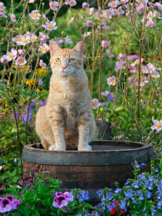 Rote Katze auf Holzfass im blühenden Garten - CALVENDO Foto-Puzzle'