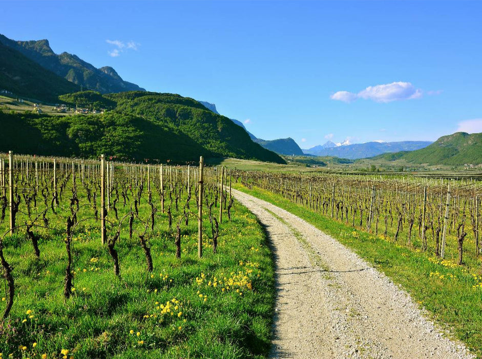 Im Etschtal nahe Tramin - CALVENDO Foto-Puzzle'
