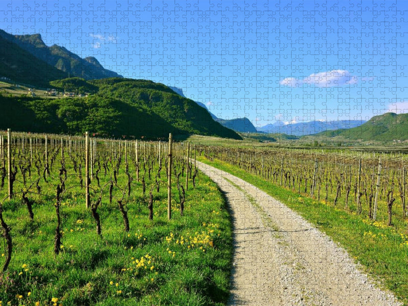 Im Etschtal nahe Tramin - CALVENDO Foto-Puzzle'