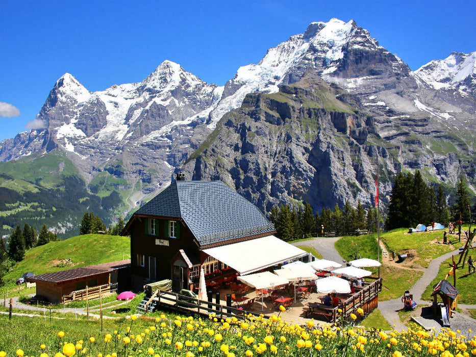 Allmendhubel - Eiger-Mönch-Jungfrau - Swissmountainview - CALVENDO Foto-Puzzle'
