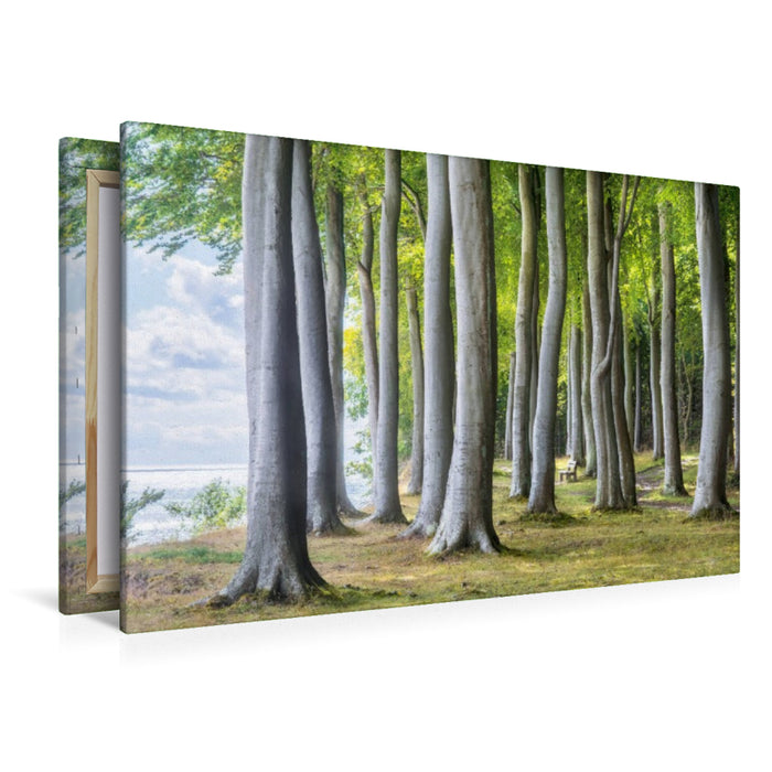 Premium Textil-Leinwand Wald von Fanefjord