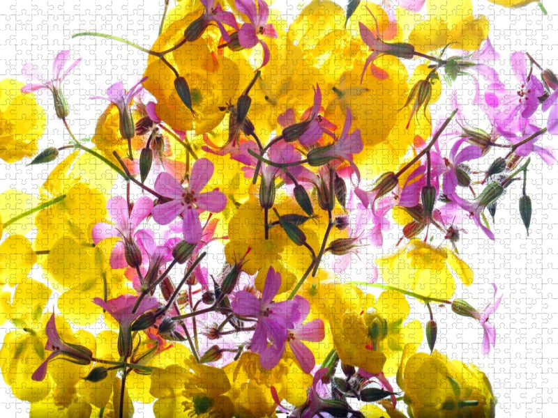 Wald- und Wiesenblümchen - CALVENDO Foto-Puzzle'