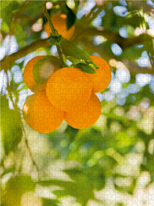 Früchte im Garten 1000 Teile Puzzle hoch - CALVENDO Foto-Puzzle'