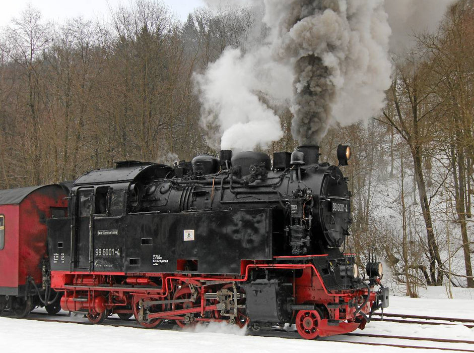 Einheitslok 99 6001 der Selketalbahn - CALVENDO Foto-Puzzle'