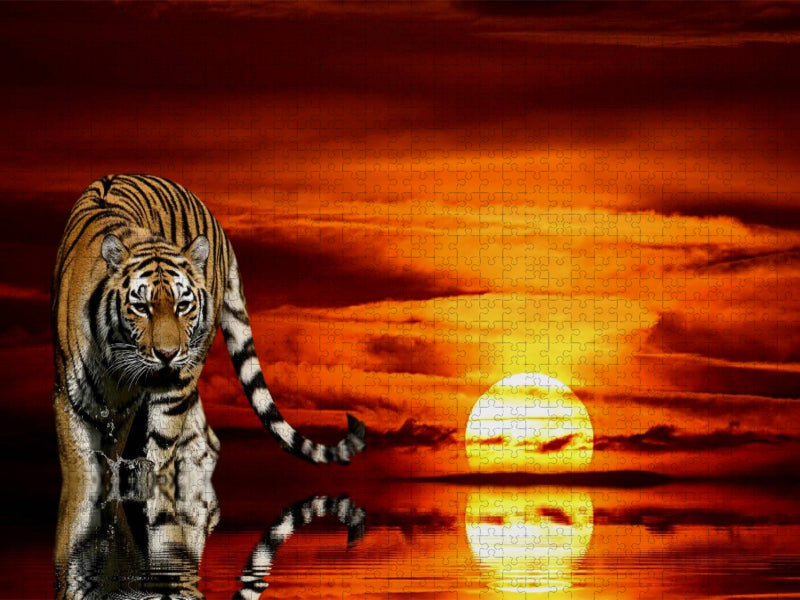 in der Abendsonne - CALVENDO Foto-Puzzle'