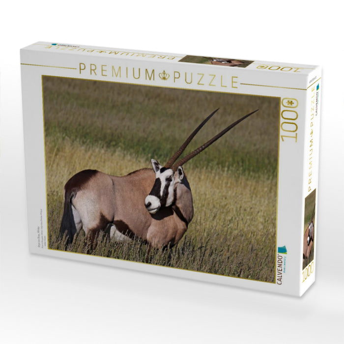 Oryx im Gras, Afrika - CALVENDO Foto-Puzzle'