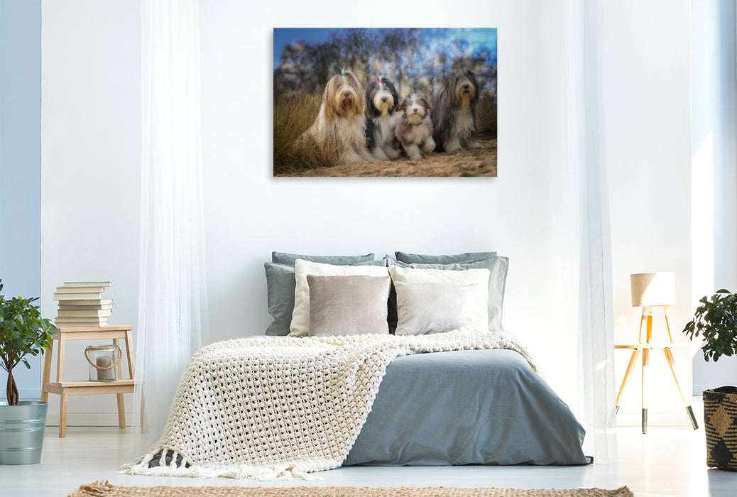 Premium Textil-Leinwand Premium Textil-Leinwand 120 cm x 80 cm quer BEARDED COLLIE Truppe mit Welpe
