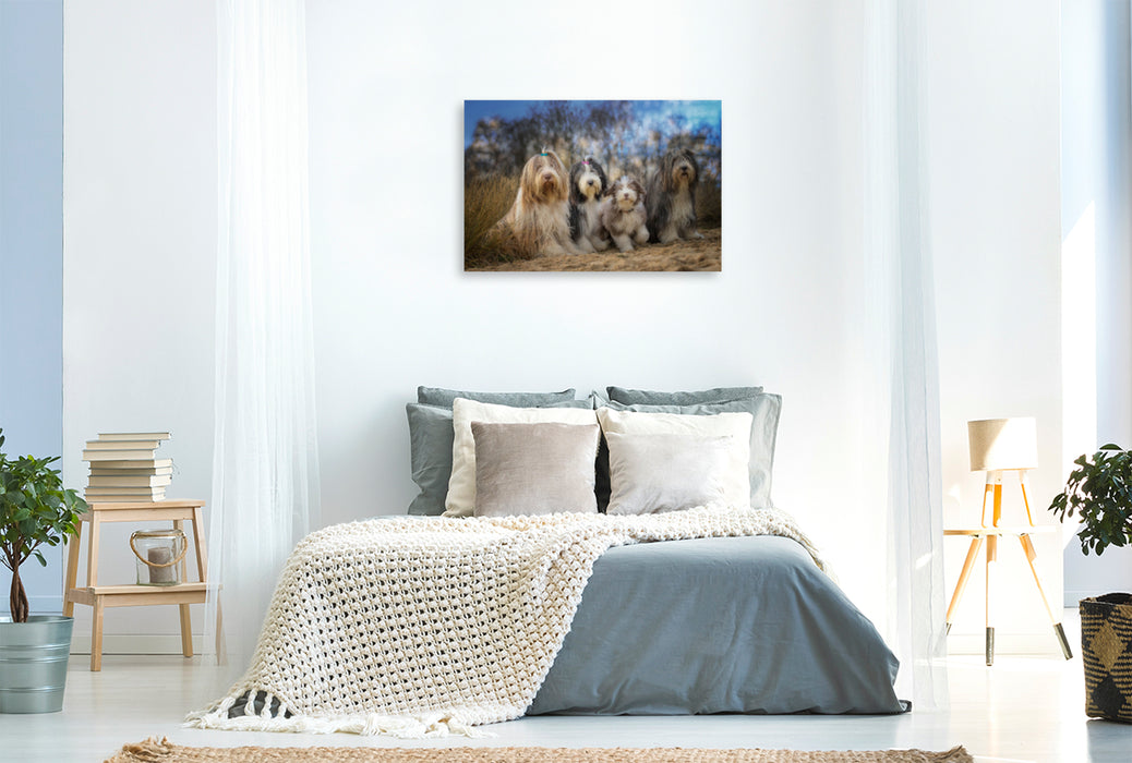 Premium Textil-Leinwand Premium Textil-Leinwand 120 cm x 80 cm quer BEARDED COLLIE Truppe mit Welpe