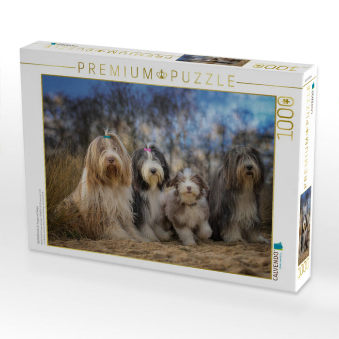 BEARDED COLLIE Truppe mit Welpe - CALVENDO Foto-Puzzle'
