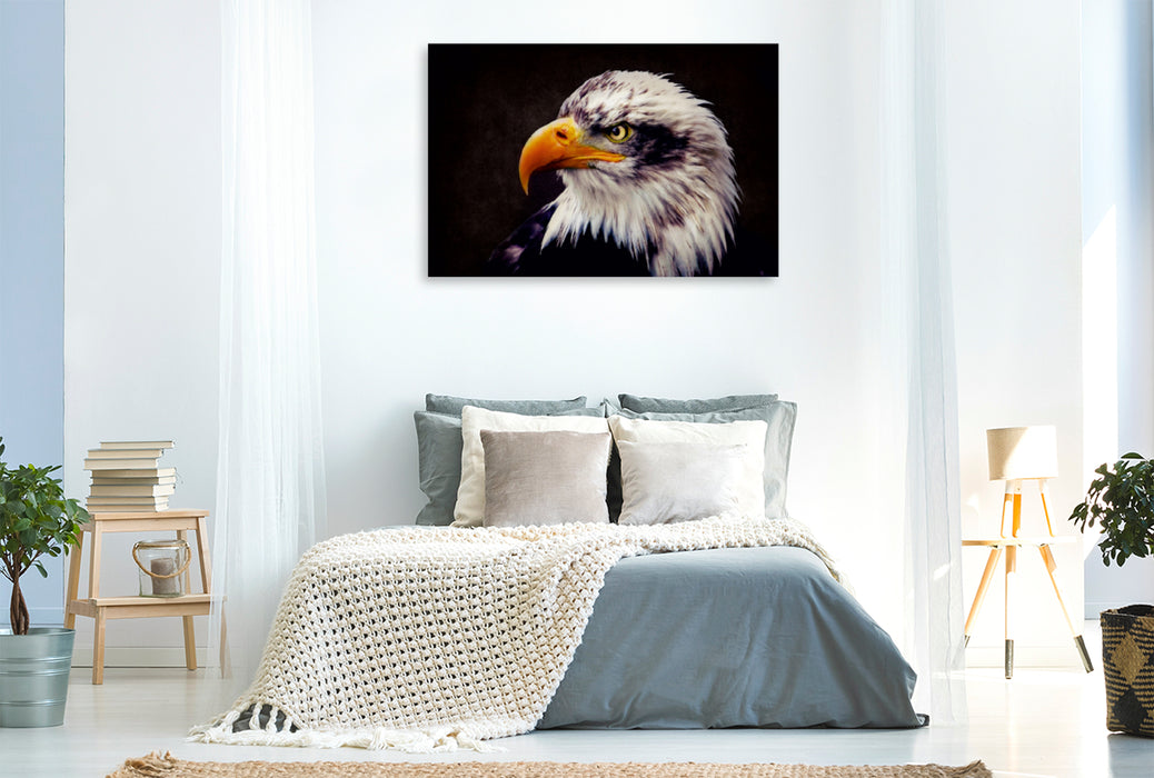 Toile textile haut de gamme Toile textile haut de gamme 120 cm x 80 cm paysage pygargue à tête blanche - oiseau de proie royal 