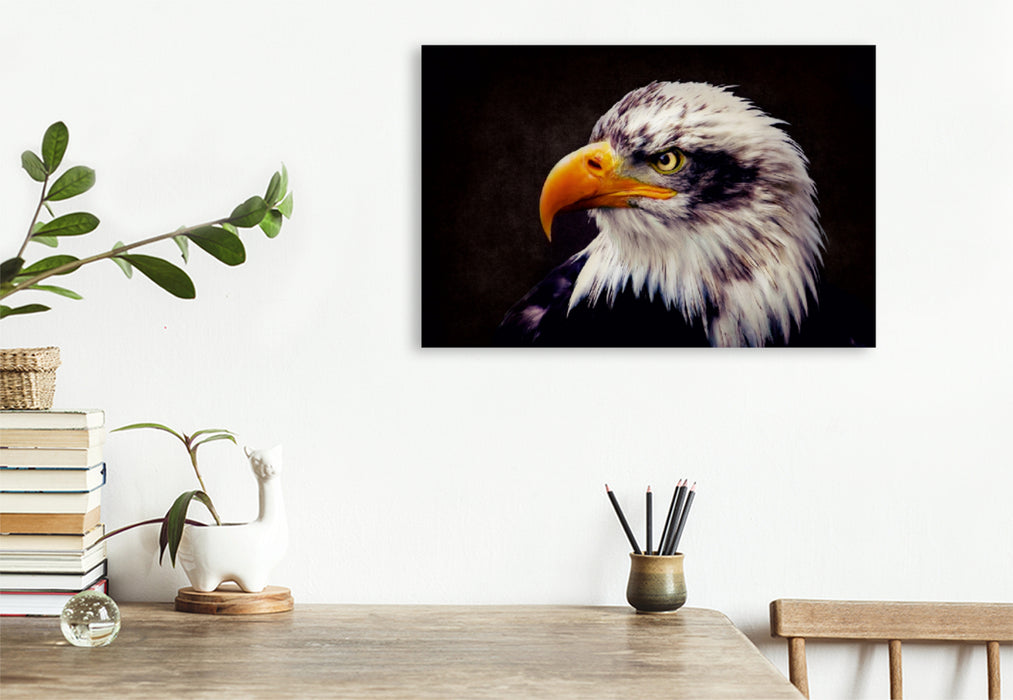 Premium Textil-Leinwand Premium Textil-Leinwand 120 cm x 80 cm quer Weißkopfseeadler - königlicher Raubvogel