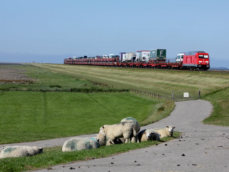 Die neue Baureihe 245 auf dem Hindenburgdamm 1000 Teile Puzzle quer - CALVENDO Foto-Puzzle'